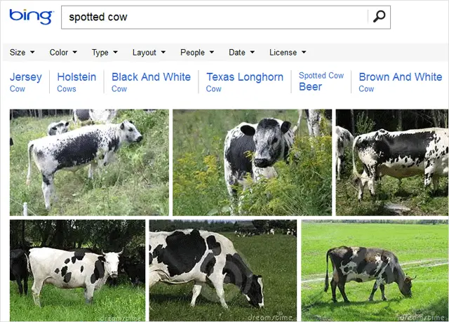image-search-results-in-bing