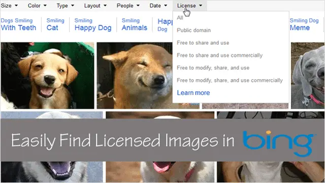 license-photo-search-option-in-bing