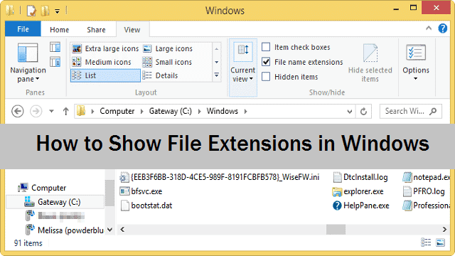 showing-file-extensions-in-windows