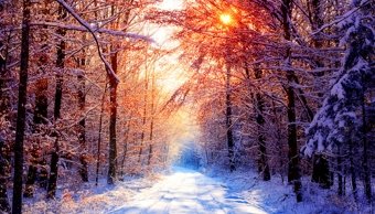The Four Seasons