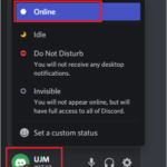 Change Discord status to Online