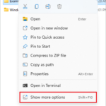 Click on Show more options