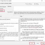 Disable Automatic updates