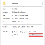 Open advanced options in General properties
