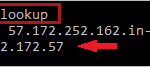execution of nslookup command