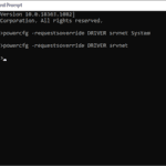 ignore-srvnet-requests