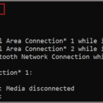 ipconfig release command execution