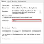 select-manual-startup-type