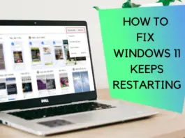 How To Fix Windows 11 Keeps Restarting