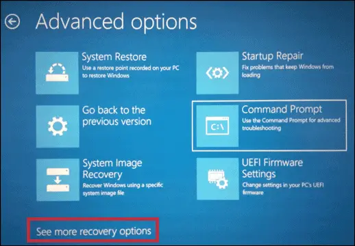 see more recovery options for how to fix corrupted files