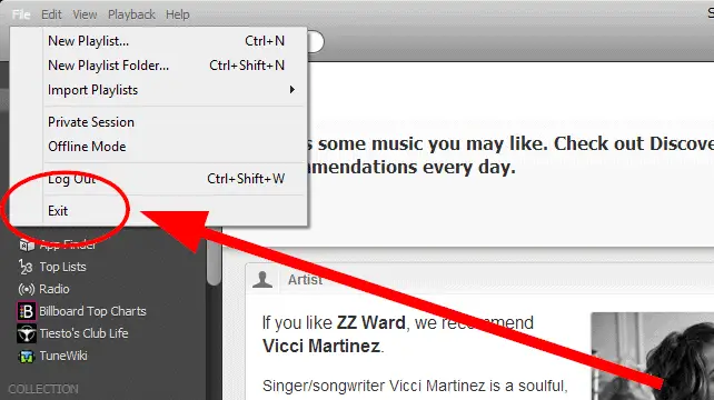 Manually exit Spotify manually-exit-spotify