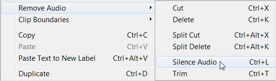 silence-audio-option-in-audacity