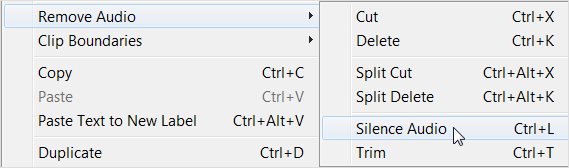 silence-audio-option-in-audacity