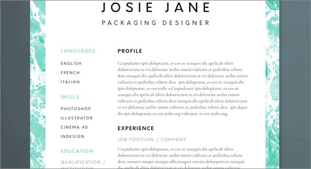 stylish and creative cv