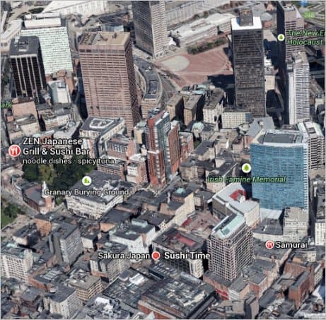 Viewing-3D-Google-Earth-View