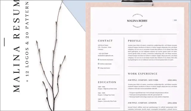 6 malina resume photoshop resume template