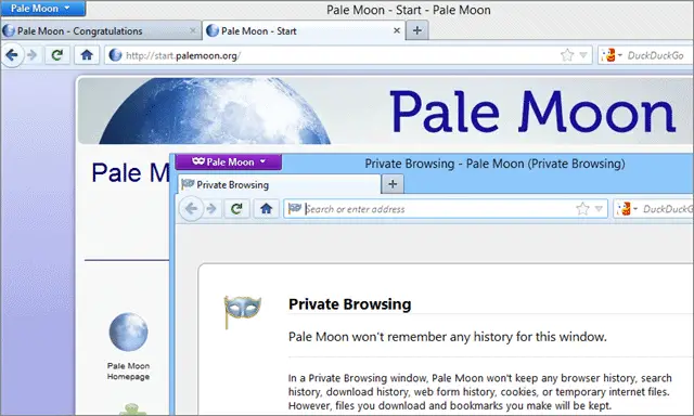 pale moon browser