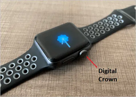 Digital Crown on the Apple Watch