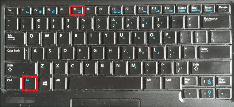 Function keys to disable touchpad windows 10