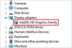 Graphic card under Display adapters