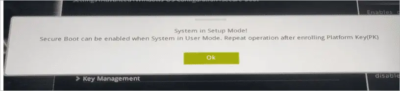 Message popping up while enabling secure boot before enrolling platform key