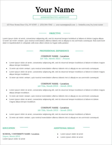 Online Resume Template