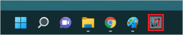 Website pinned to the taskbar