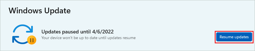 Resume Windows 11 updates 