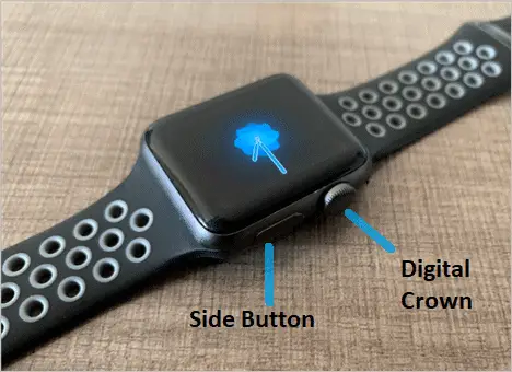 Side Button and Digital Crown button on Apple Watch