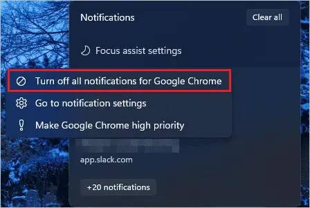 Turn off notifications for the app