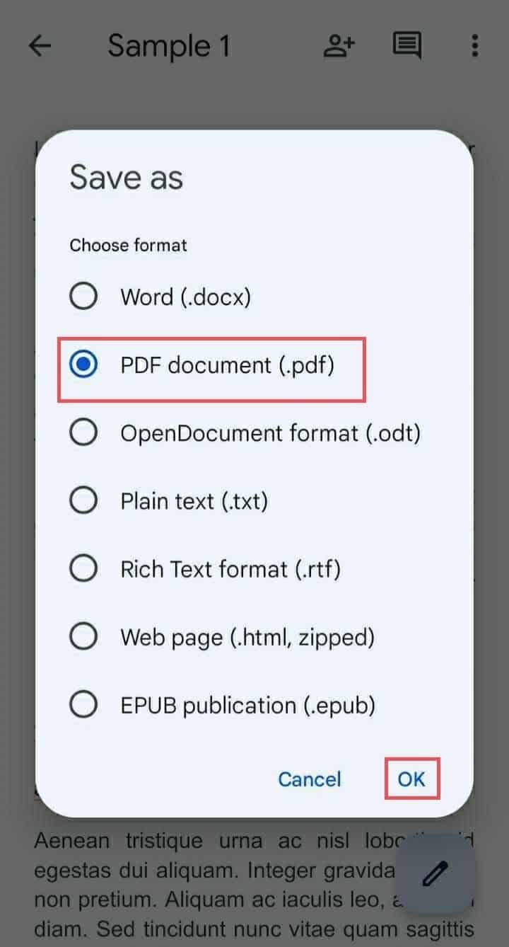 Select the PDF Document and click OK for How To Convert Google Doc To Pdf