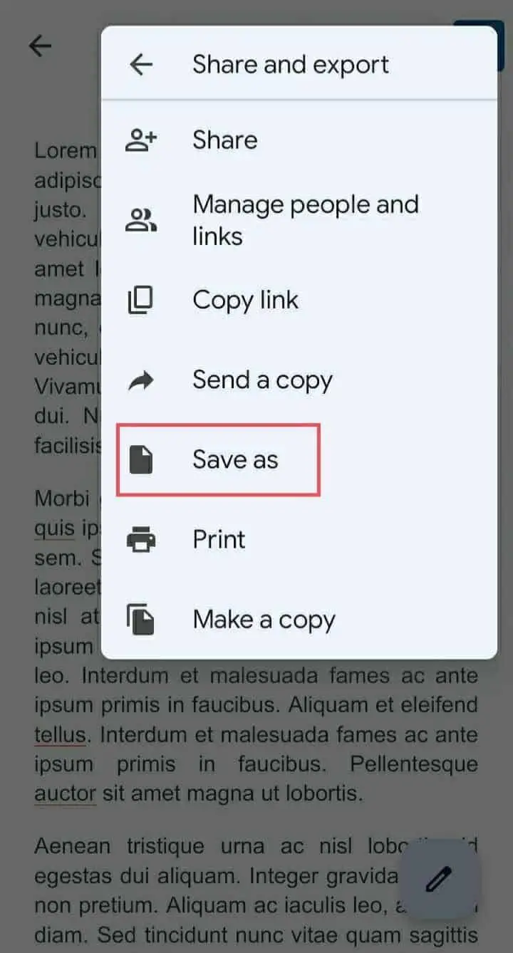 Click Save as for How To Convert Google Doc To Pdf