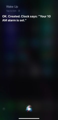 Using the Siri Shortcut