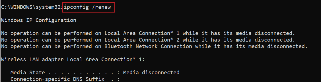 Execute command to renew IP address