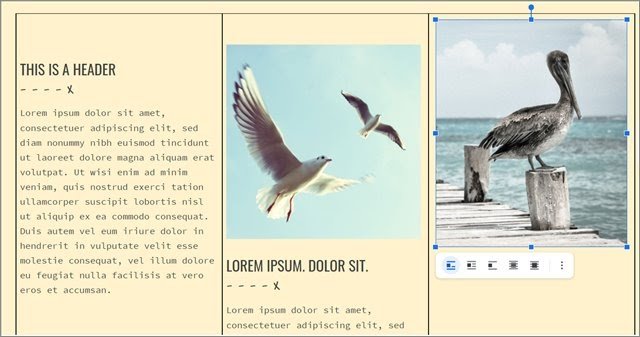 Design for how to make a brochure on google docs
