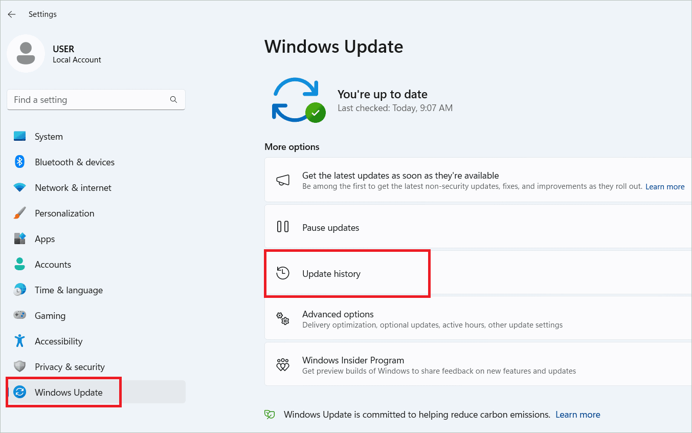 Select Windows Update > Update history