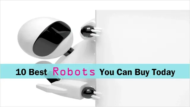 a-list-of-the-best-robots-you-can-buy-right-now