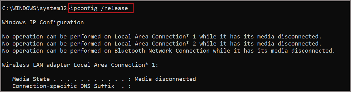 Run command to release IP address