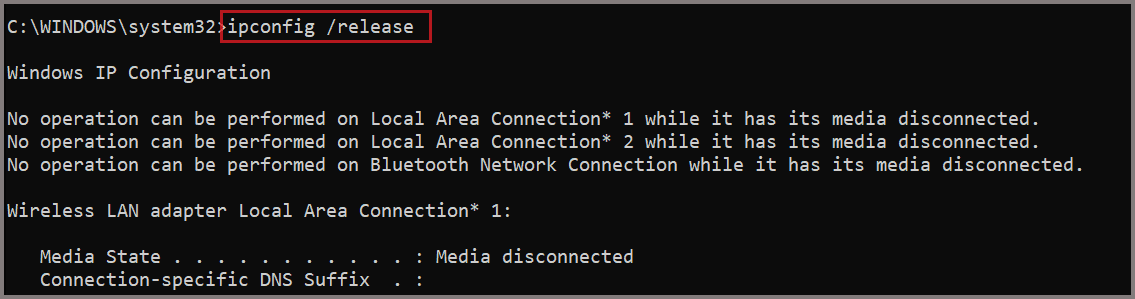 ipconfig release command execution