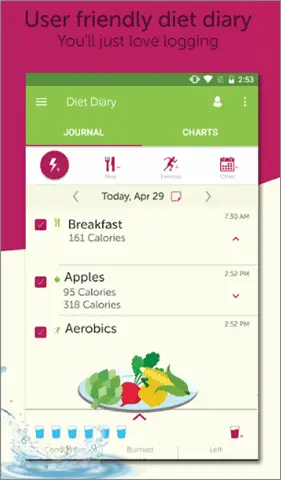 my diet coach best calorie counter app