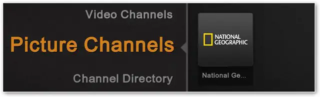 viewing-the-picture-channels