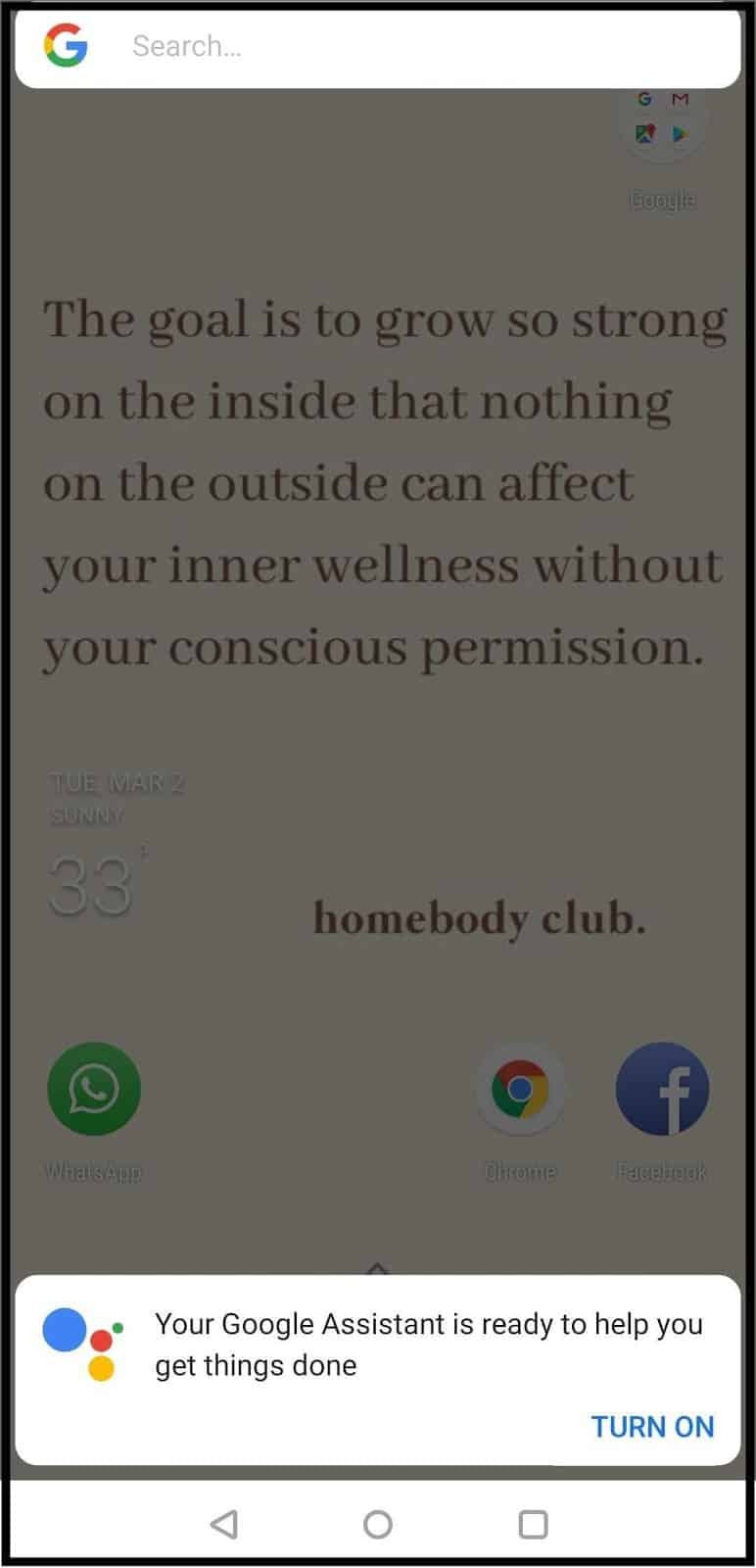 Option to Turn On Google Assistant by pressing Home button