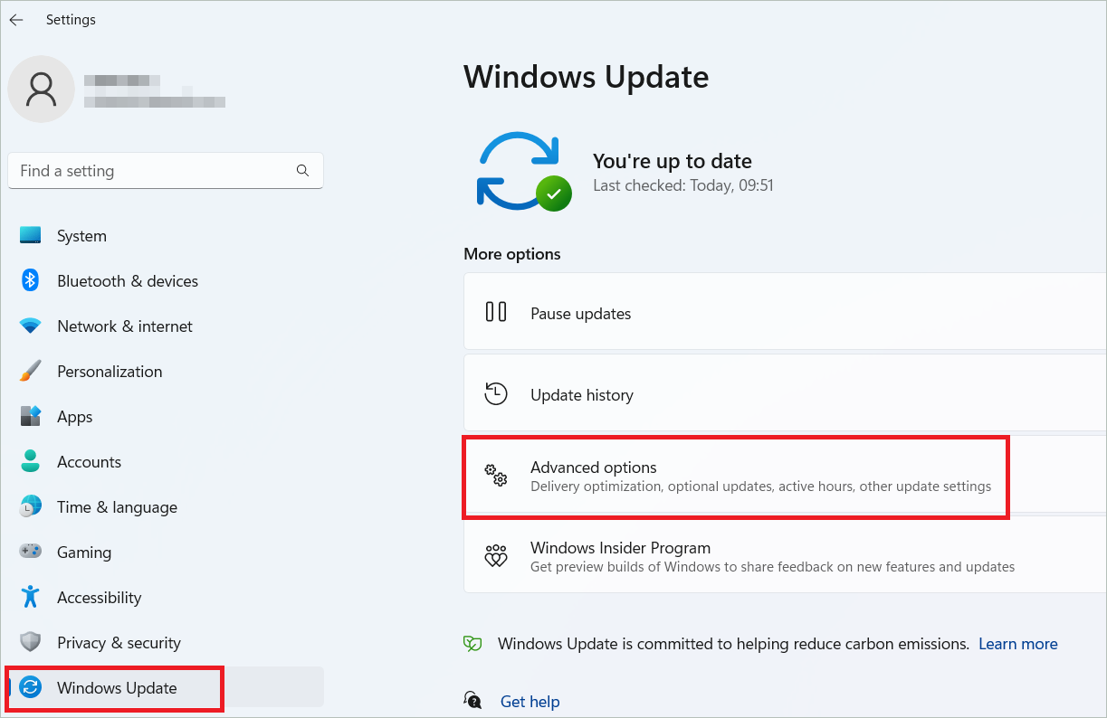 Select Windows Update > Advanced options