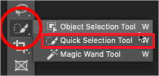 Select Quick Selection Tool