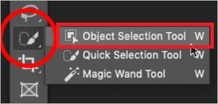 Select Object Selection Tool