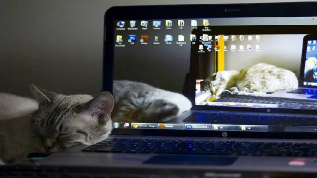 technology for mouseless clicking technology for mouseless clicking