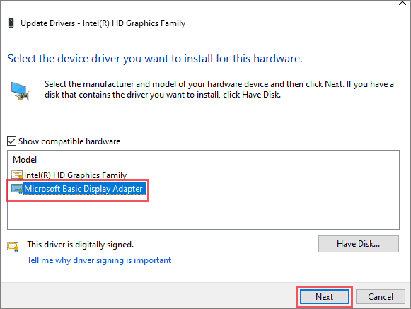 Choose Microsoft Basic Display Adapter