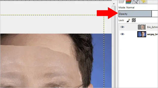 Change-the-opacity-of-a-layer-in-GIMP